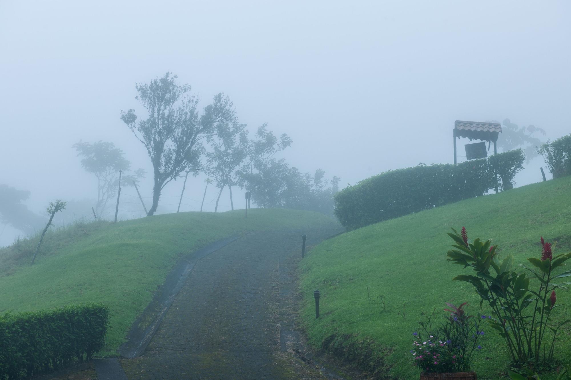 Arenal